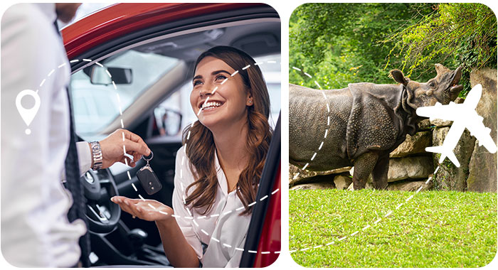 Experience in Dooars Group Tours
