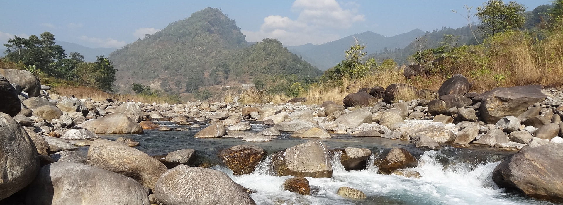 Dooars Jungle River Tour