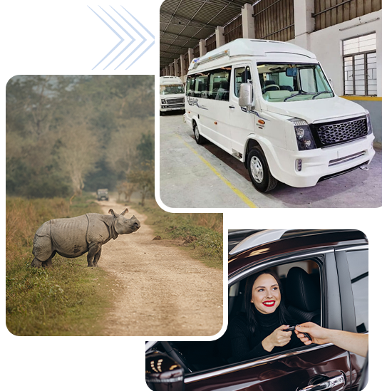 Tempo Traveller for Dooars Tour Trip